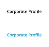 Corporate Profile