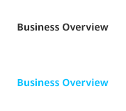 Business Overview