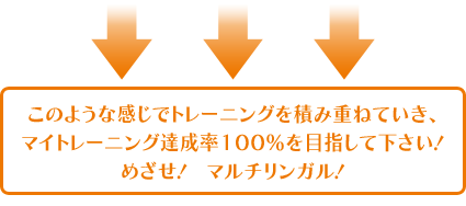目指せ、達成率100% このような感じでトレーニングを進めていき、達成度100%を目指してください