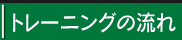 g[jO̗
