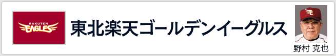 kyVS[fC[OX