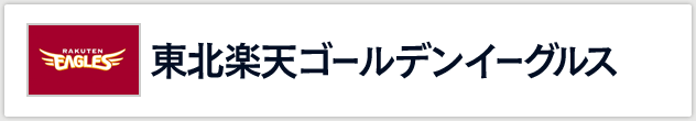 kyVS[fC[OX