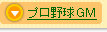 v싅GM